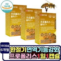 우리가족 항산화 효과 높이는 면역력 플라보노이드 프로폴리스 캡슐 추천 PROPOLIS 뼈건강 비타민D 면역강화 아연 수험생 청소년 10대 20대 취업준비생 직장인 남자 여자