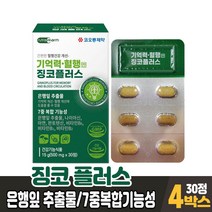 징코 플러스 진코 찡코 찐코 은행잎 추출물 아연 비타민b1 b2 b6 7중 복합기능성 건강기능식품 남성 여성, 4박스, 30정