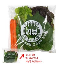 리뷰 배달 쌈채소 봉투 200X220+40 (1000장)