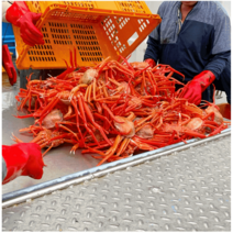 속초 산지직송 붉은대게 자숙 홍게 찜, 자숙홍게 3kg - 10미 내외, 1개