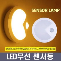 희망우주샵 LED 동작감지 무선 붙이는 센서등 무드등, 2개