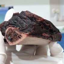 강아지말갈비 국내산 강아지수제간식 애견 말고기 건조간식 강아지 저알러지 간식