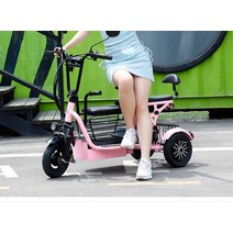 어르신전동차 삼륜 접이식 전동카 스쿠터 전기차 장애인, 07. G, 01. 48V