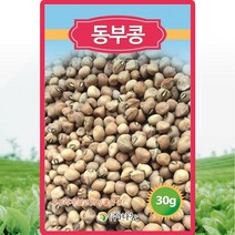 동부콩 씨앗 동부 콩씨 재래종 황색 종자 30g