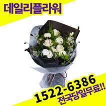 화이트장미혼합 꽃다발 꽃바구니 출산 생일 전국 꽃배달서비스 생화 기념일 프로포즈 졸업 축하 당일 배송