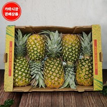 [맛다름] [가락시장 경매 식자재 과일][필리핀] 바나나 13.5kg내외 8수 box, 1box, 13.5kg 8수