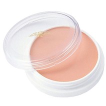 미쯔요시 그리스 페인트 21P 다크서클 수지 컨실러