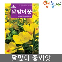 민속씨앗 달맞이꽃씨앗 4000립 씨앗, 1개