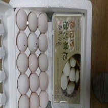 효산농장 효산유황오리알 먹거리X파일 130회 검증 진품 유황 오리의알 특허2개 등록 효산유황오리의알, 1개, 30알
