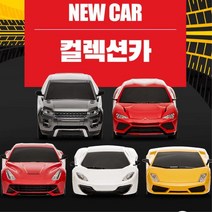 4살남아 불빛 조종 자동차 rc카 작동완구 행동발달