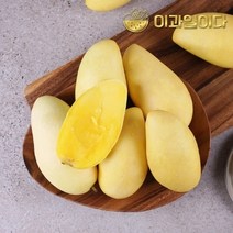 [이과일이다] 필리핀 카라바오 생망고 5kg 16과, 단품