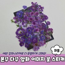 다꾸 다꾸스티커 이미지 스티커 폰꾸 압화스티커 꽃 폰꾸스티커 압화 꽃스티커 퍼플, 상세페이지 참조, 상세페이지 참조
