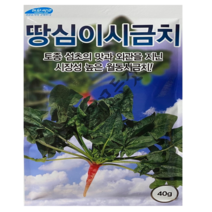 땅심이 시금치 씨앗 40g 토종 섬초의 맛과 외관을 지닌 시장성 높은 월동시금치 종자, 1개