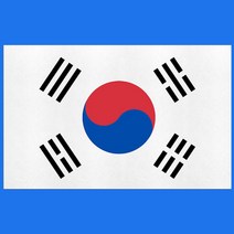 자동차 뒷유리 태극기 데칼 스티커 아반떼CN7 QM5 앞범퍼 기스가리기 포터