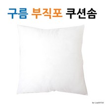 구름 실크 쿠션 솜l 압축포장 솜45 PTH 하우스 인테리어소품 쇼파 솜커버 배게솜, 유화쿠션커버(브라운)