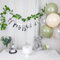 파티온 조화 넝쿨 심플 생일 파티 6종 세트, 가랜드(실버)+숫자9(실버)