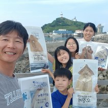 [서민갑부 오징어] 천해수산 부드러운 건 마른오징어 5마리 국내산 동해안 영덕 대 특대 특왕특, 마른오징어 왕특 5미(500g내외)