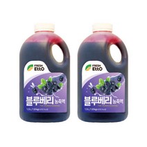 프레쉬에또 프레시에또 블루베리 농축액 1.8kg 2개세트, 프레시에또 블루베리 농축액 1.8