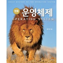 명품 운영체제, 생능출판