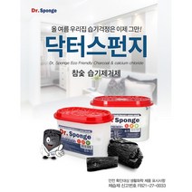 닥터스펀지 참숯 습기제거제 20개입 일반형 후레이크타입 제습제, 510ml