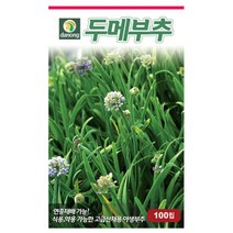 다농 두메부추 100립 두메부추씨 두메부추종자 두메부추씨앗, 단품
