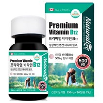 네추럴라이즈 프리미엄 비타민 B12 256mg x 90정 비타민비 12 B군 영양제