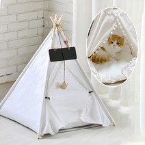 시골 예쁜강아지집 강아지 소형견, 화이트