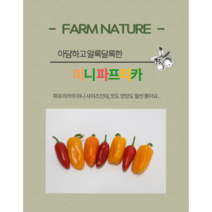 [Farm Nature] 미니 파프리카, 180g
