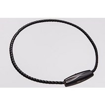 ible Airvida M1 Black PM2.5 꽃가루 안티 바이러스 목걸이 마이너스 이온 공기 청정기 3WAY 타입