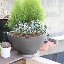 국산 대형 플라스틱 타원형 화분(300사이즈), 메탈브라운
