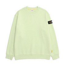 내셔널지오그래픽 N224USW901 스탠다드 벨룩스 세미 오버핏 맨투맨 FOAM GREEN