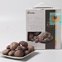 마수아_실속표고버섯(향고)세트300g_설악산]_G[강원도 FA8B, 상세페이지 참조