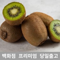 [특 등급 선별] 그린키위 5kg 키위 키위효능 레드키위 제철과일 골드키위 백향과 열대과일 참다래 골드키위효능 제스프리골드키위 제주레드키위 키위주스 골든키위 수입과일 냉동키위