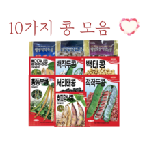 10가지 콩 씨앗 모음집 [23년포장] 강낭콩 작두콩 서리태콩 동부콩 콩종자, 호피강낭콩(덩굴성) 30g