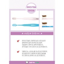 라이온 교정용칫솔 (교정일반칫솔+교정전용칫솔 세트), 와이드F(전체케어)