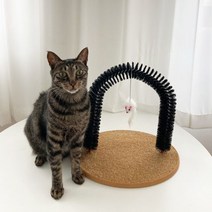 JT 뚜또가또 고양이 셀프 그루밍 브러쉬, 스피드컴119고양일산지점 1, 스피드컴119고양일산지점 본상품선택
