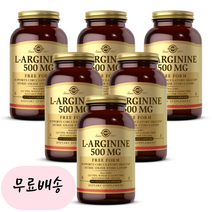 [솔가]-M2-SOLGAR L아르기닌 500mg 엘아르기닌 250식물성개입[[6통]], 250개, 6개