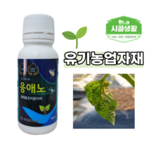 [시골생활 비료] 응애노 80ml 유기농 친환경 응애 노린재 갈색날개매미충 약 퇴치