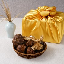 자연산 송이버섯 생송이버섯 선물세트 설 추석 명절 선물용, 1박스, 1품 1kg