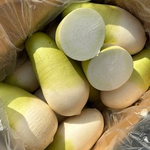 프레아 마켓 국내산 월동무 무우 세척무 제주무, 제주무 18kg