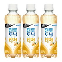 토닉워터 진저에일 제로 Zero 300mlx24펫 신제품, 토닉워터 진저에일 제로 300mlx2