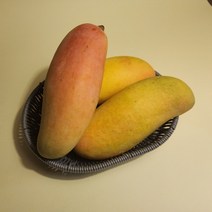 무지개망고 캄보디아망고 태국망고, 태국망고 5kg
