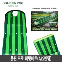 돌핀 프로 퍼팅매트