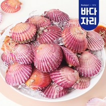 통영 청정해역 당일채취 제철 홍가리비, 홍가리비 3kg