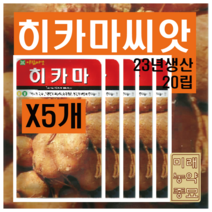 히카마 씨앗 20립 X5개 (23년산)- 얌빈 씨앗