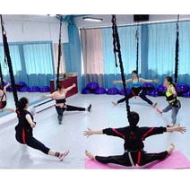 번지피지오 플라이아트요가 실내 활력벨트 공중요가, 범용 링 색상 비고 기본 빨간색과 검은색 베어