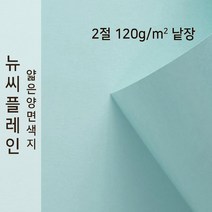뉴씨플레인 종이문화 얇은 양면색지 120g 2절 낱장 1매 No.05 연하늘색, 1장