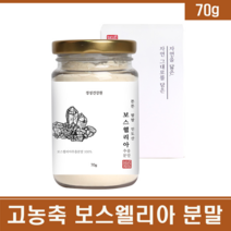 보스웰리아 고농축 인도보스웰리아 추출 분말 가루 관절보스웰리아 원물 덩어리 추출물 차 찜질 팩 아연 셀레늄 인플라신 테르페노이드 보스웰릭산 파우더 boswellia 조인트 무릎 손가락 관절 연골 엔 팔팔 영양제 부모님 할머니 할아버지 효도 선물, 1통, 70G