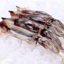 물고기삼촌 냉동 오징어 1박스 3kg 9-11미