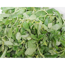 국내산 봄나물 비름나물 400g 제철 생 비름나물 비듬나물 참나물 비름 나물 봄나물 국내산참나물 나물채소 산나물 비름나물국산, 1개